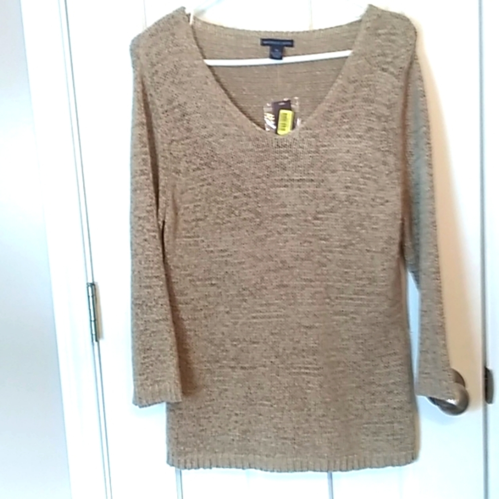 Westbound Petites v neck sweater.